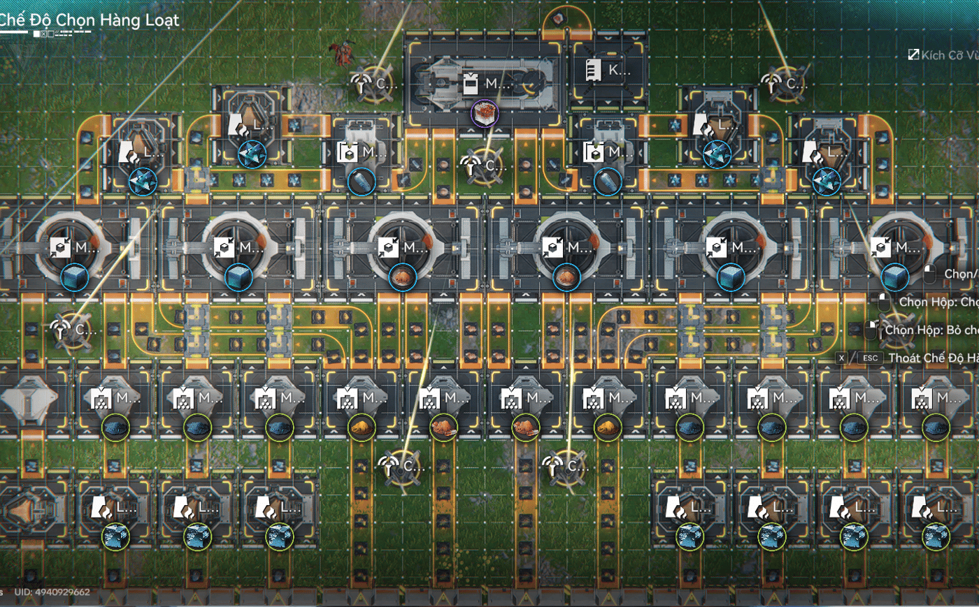 Thuốc kiều mạch [A] (tối ưu) - Image 2