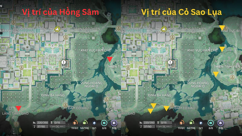 Vị trí thu thập Hồng Sâm và Cỏ Sao Lụa