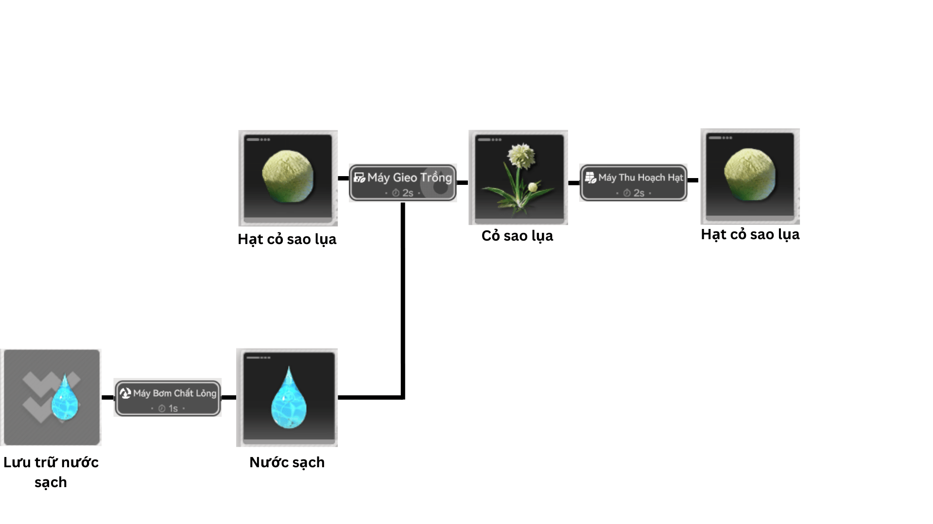 Hạt Cỏ Sao Lụa