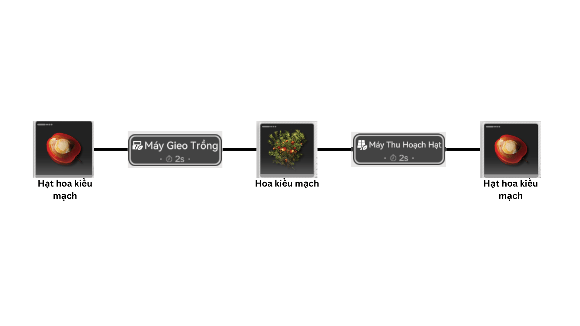 Hạt Hoa Kiều Mạch